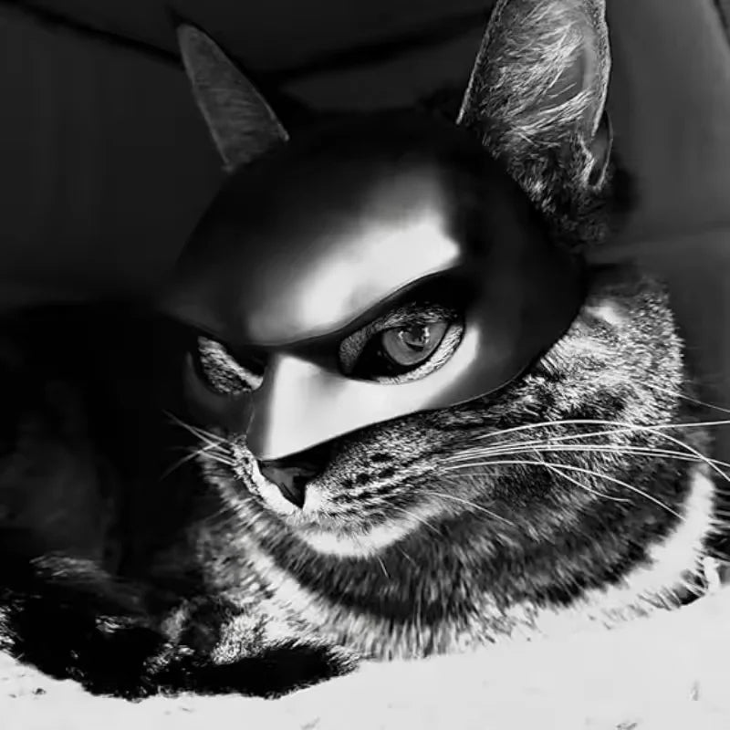 Maschera da gatto per animali Halloween
Accessorio cosplay virale