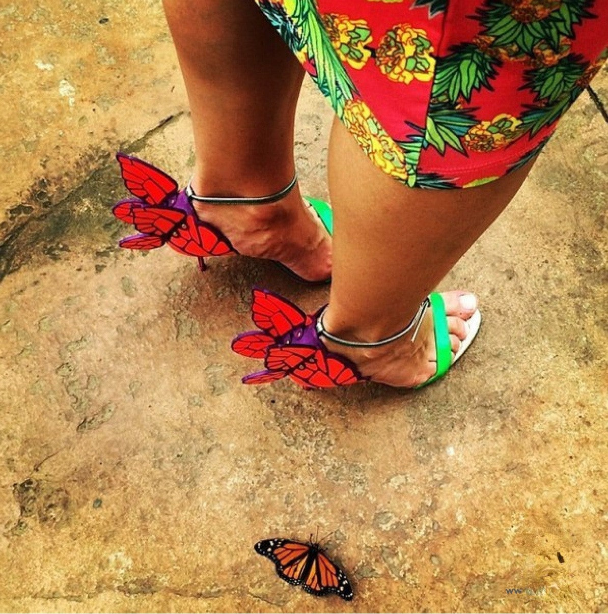 Tacchi Butterfly coppia decollete colorate | Dream Shop