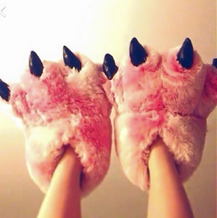 Dinosaur slippers