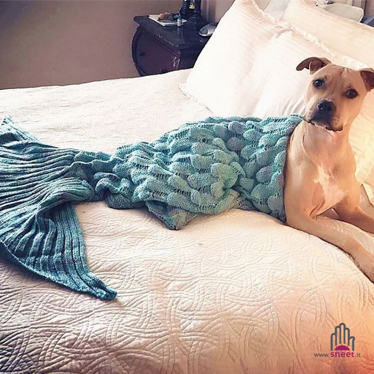 Copertina coda da Sirena leggera bambini