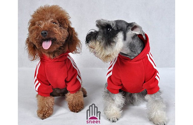 Felpa Adidog Rosso TOY