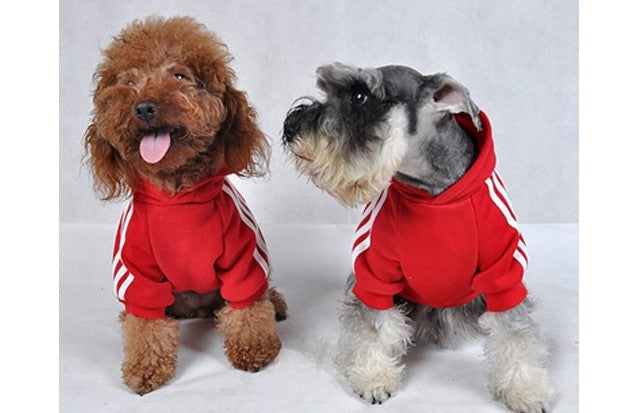 Felpa Adidog Rosso TOY look completo | Dream Shop
