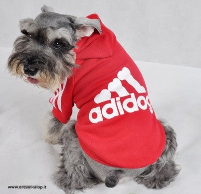 Felpa Adidog Rosso TOY in movimento | Dream Shop