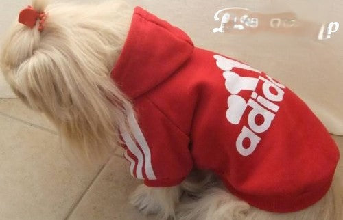 Felpa Adidog Rosso TOY vista dall'alto | Dream Shop