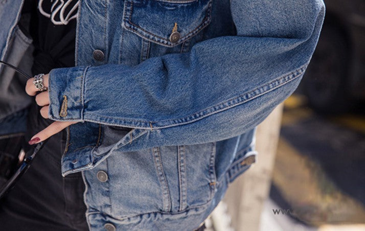 Giubbino fenicottero denim Happy Times vista posteriore — Dream Shop