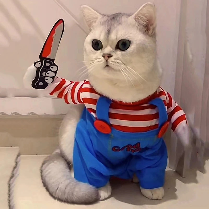 Costume gatto Halloween con coltello finto su gatto bianco — Dream Shop