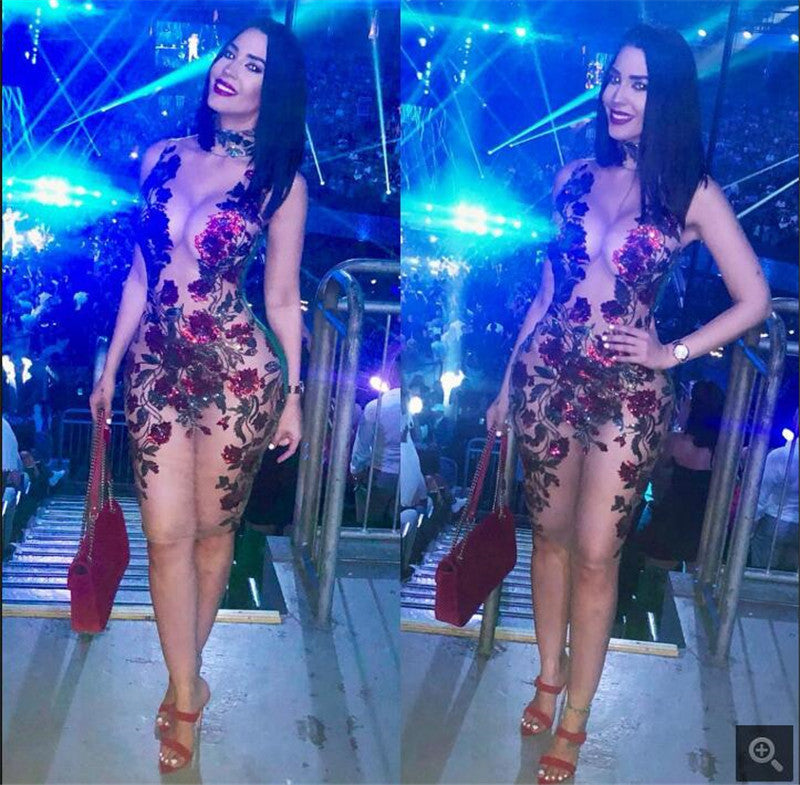Trasparent red roses dress