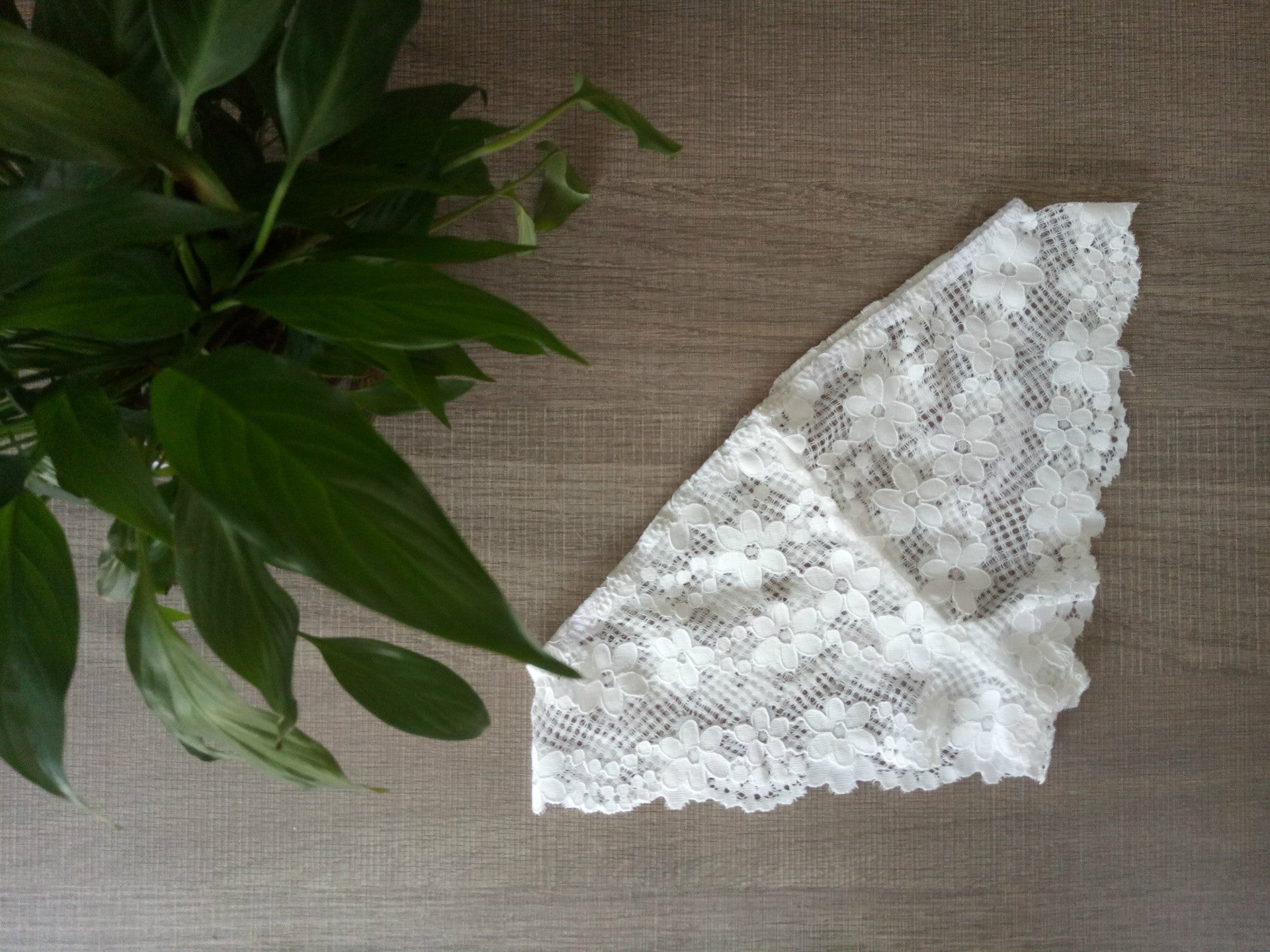 Brasiliana pizzo Deski