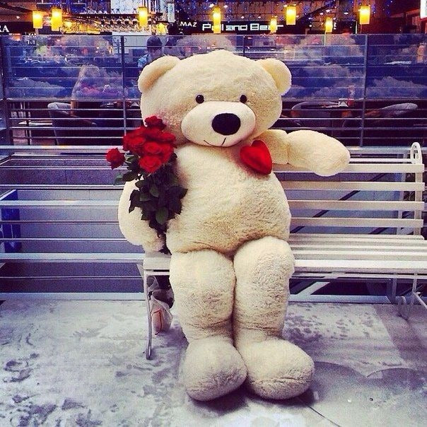 Teddy Bear 120 cm Rosa vista posteriore | Dream Shop