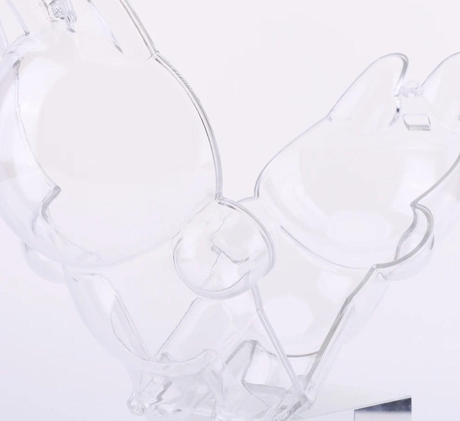 Custodia trasparente proteggi Labubu