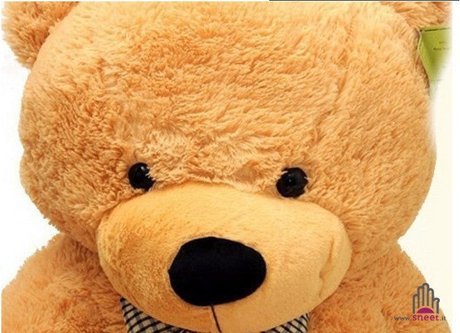Teddy Bear 200 cm