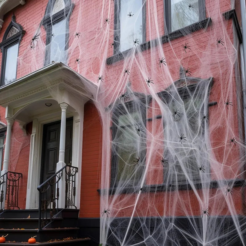 Ragnatela elastica Halloween su finestra — Dream Shop
