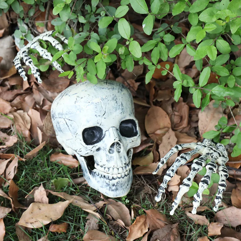 Teschio scheletro Halloween realistico tra le foglie — Dream Shop