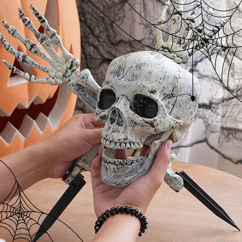 Teschio e mani scheletro Halloween, dettaglio in mano — Dream Shop