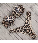 Leopard pushup band bikini