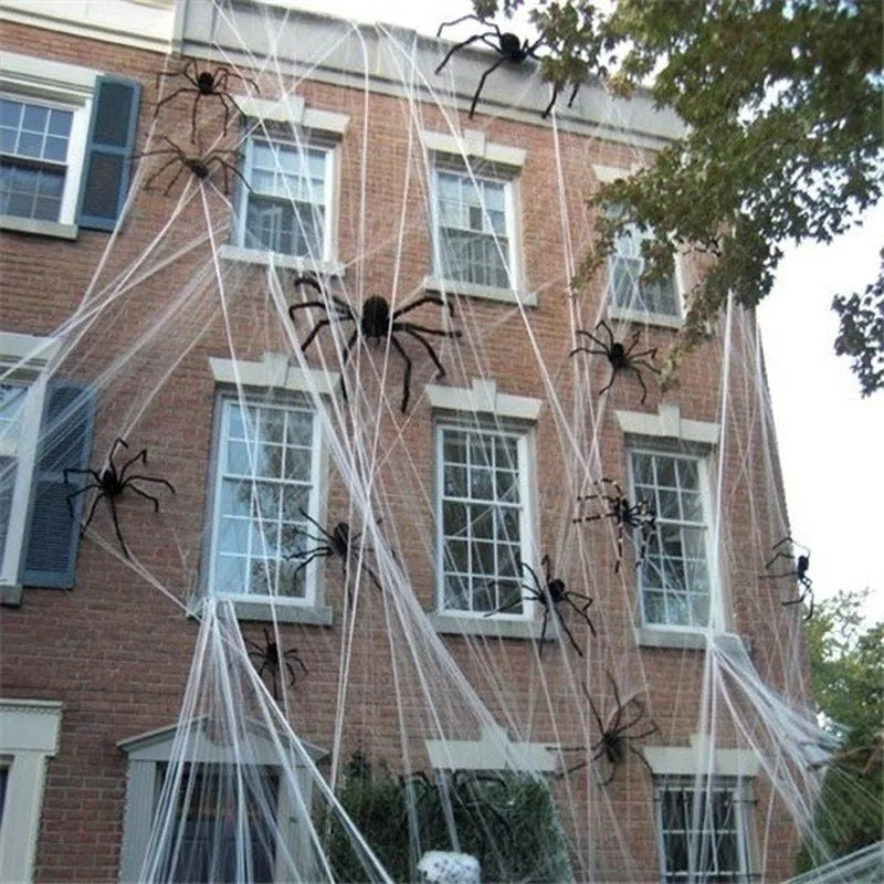 Ragno gigante peloso Halloween 
Decoro casa stregata occhi rossi