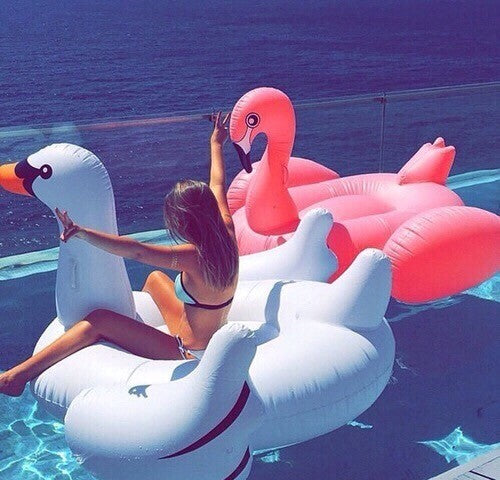 Gonfiabile Cigno 150cm