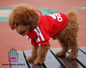 Felpa Adidog Rosso TOY