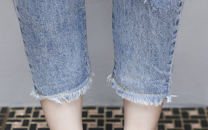 Completo Bulldog Francese