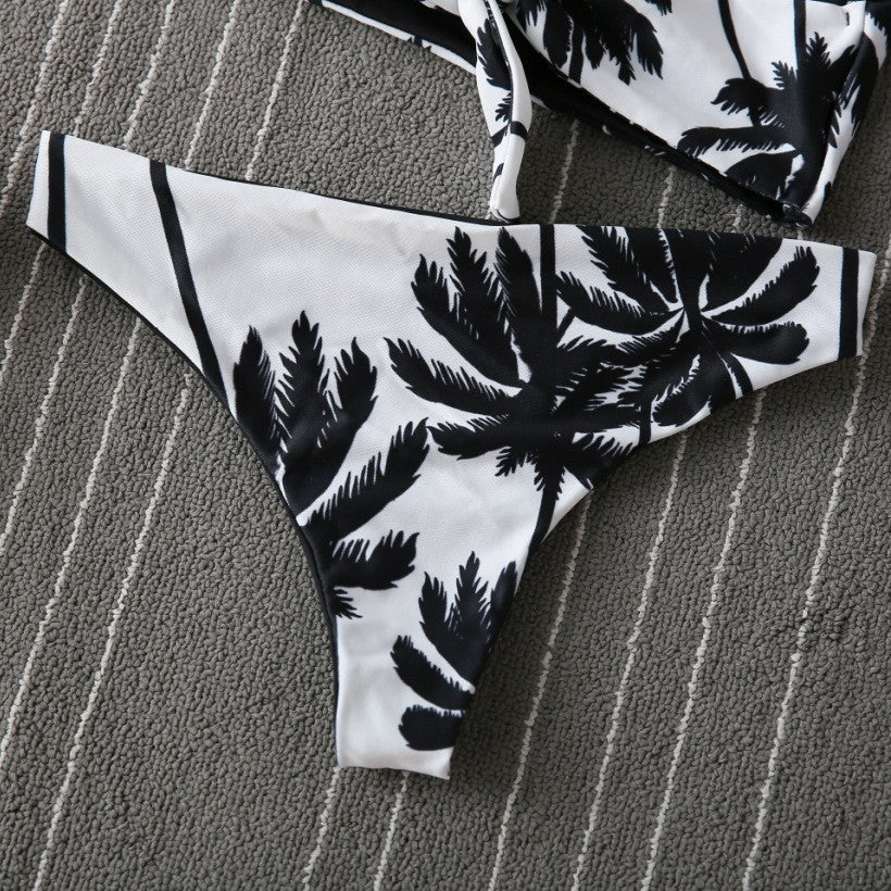Bikini Palm