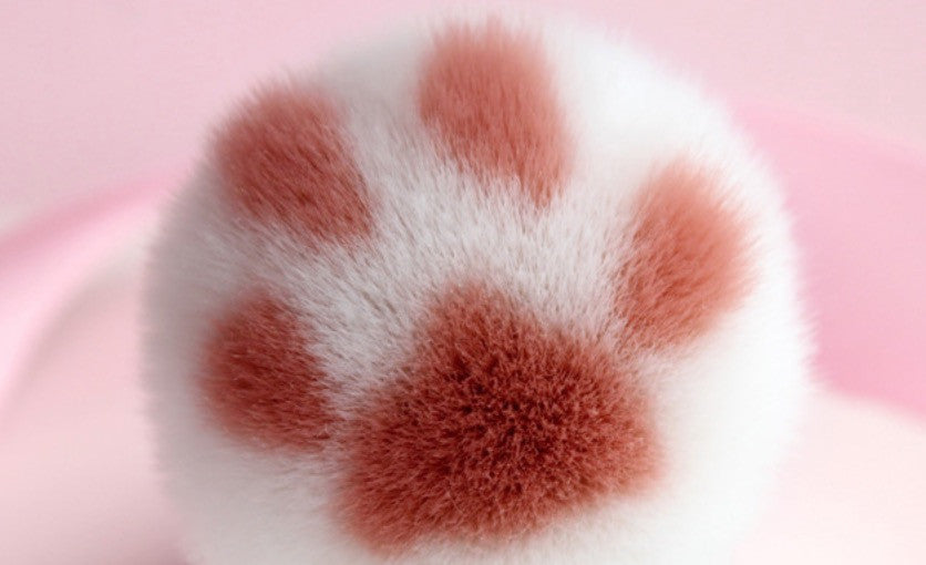 Pennelli trucco zampetta gatto