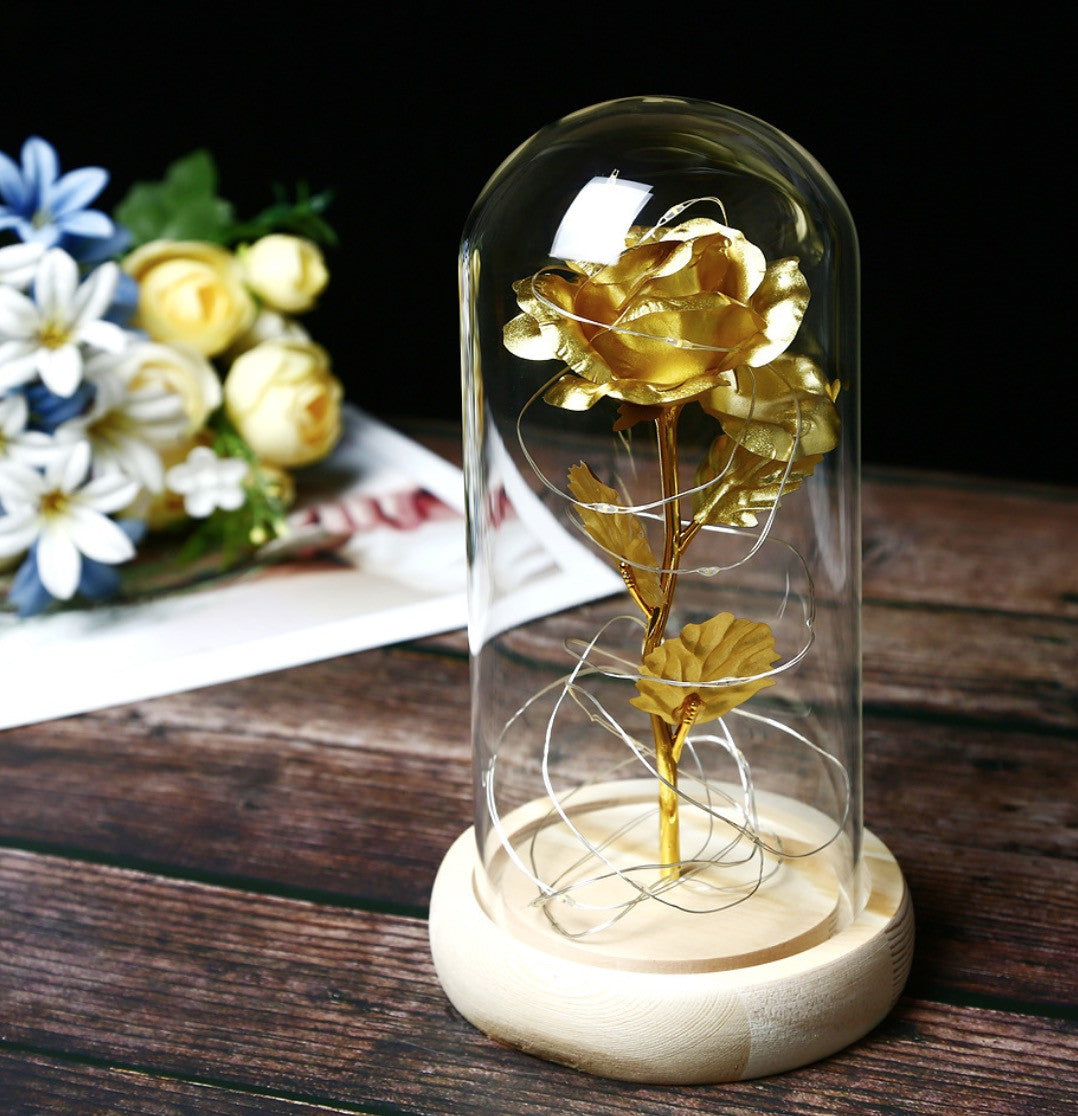 Rosa sotto vetro