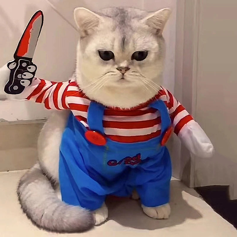 Costume cosplay Halloween su gatto e cane barboncino insieme — Dream Shop