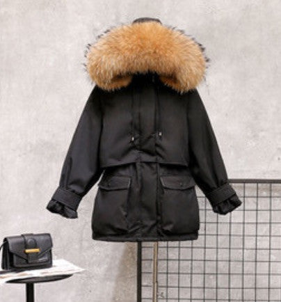Parka Cortina procione