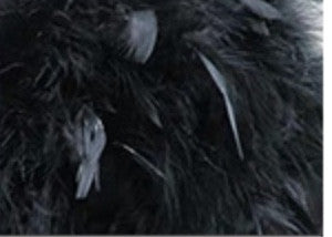 Pochette tonda plumage