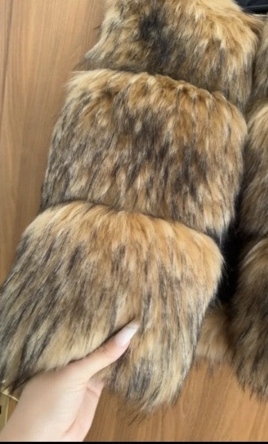 Pellicciotto Frezza Raccoon