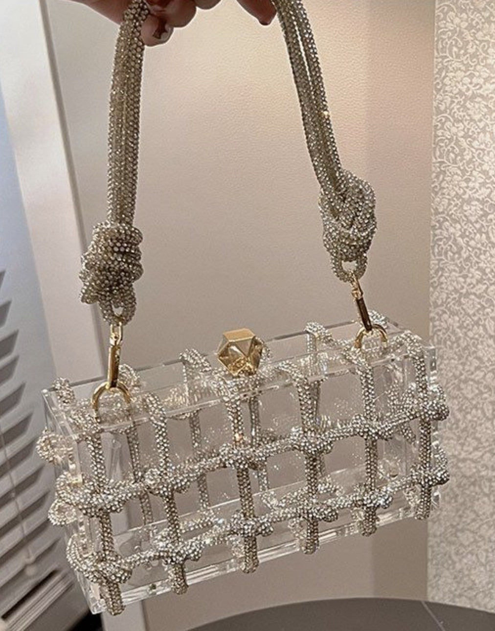 Borsa gabbia strass
