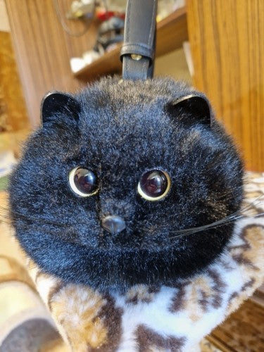 Borsa real cat