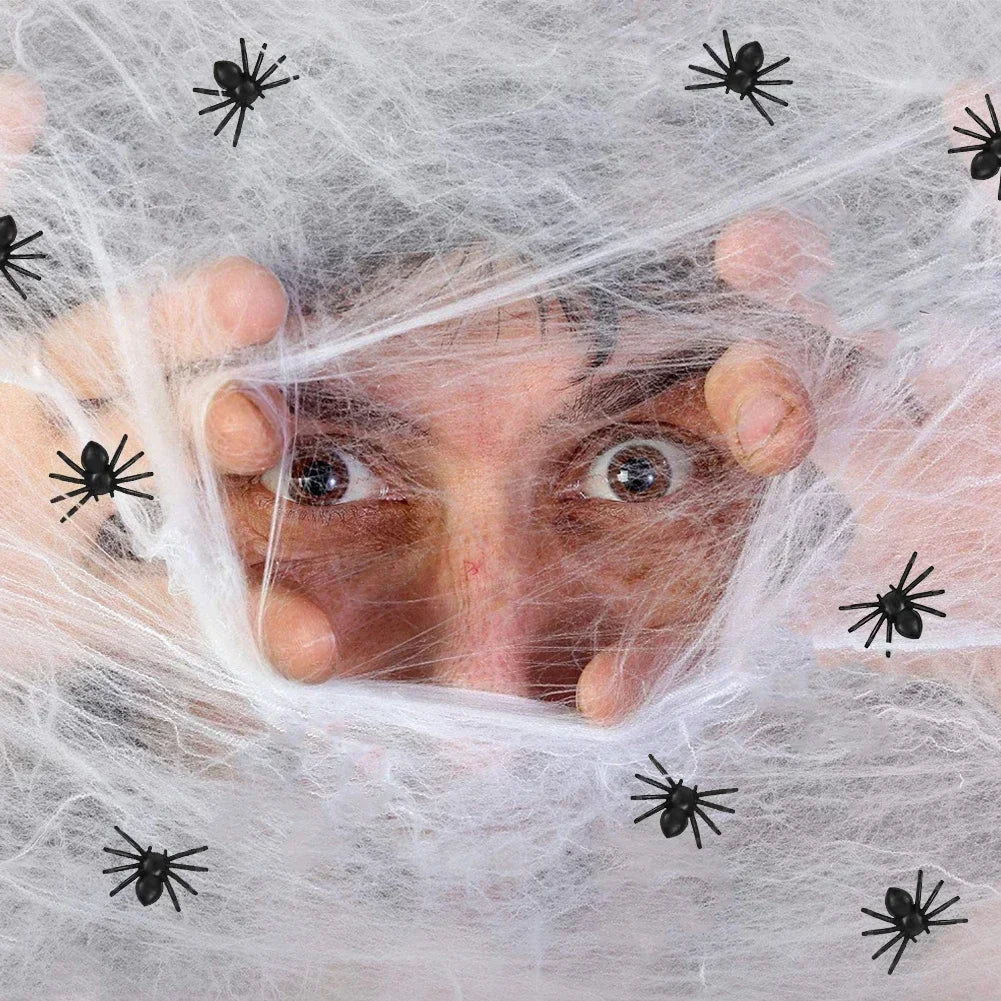 Ragni finti realistici Halloween 
Mini ragni plastica da scherzo