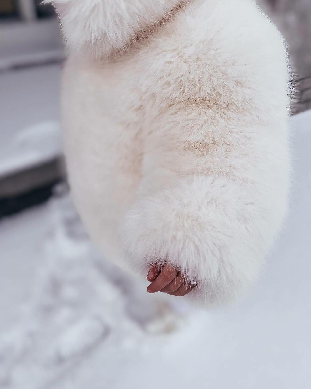 Pelliccia baby ghrizly bear