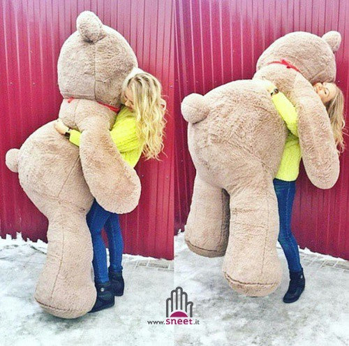 Teddy Bear 200 cm